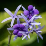 Hvordan kan jeg bruge vådslibepapir til at slibe træ eller metal?